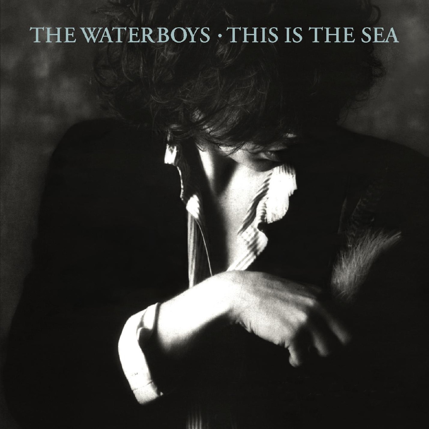 Waterboys, The - This Is the Sea (2004 Remaster)